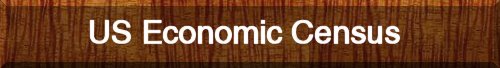 2007 US Economic Census